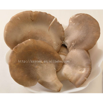 canned whole abalone mushrooms for sale